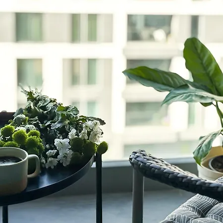 Cloud9 Noir - Modern Design 布加勒斯特