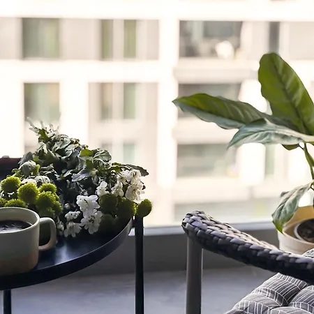 Cloud9 Noir - Modern Design *